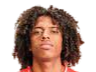 https://img.ozoneanalyser.com/img/football/player/135ad8787fd13961a93e165e79e736ff.png