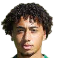 https://img.ozoneanalyser.com/img/football/player/347a6d58ae7ec0425a4d42bc9215c411.png